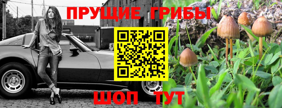 как найти наркотики  Вход с VPN  Грязи  Псилоцибиновые грибы ЛСД  Псилоцибиновые грибы прущие грибы 